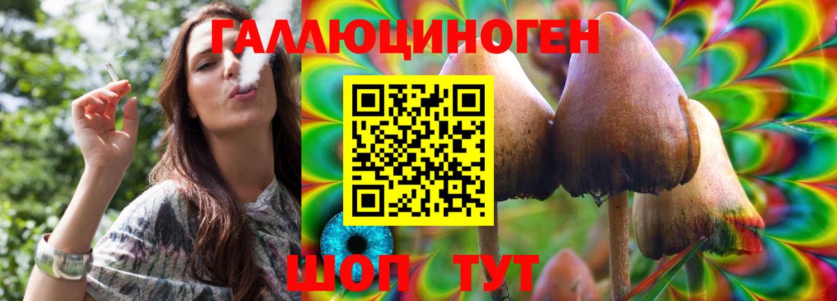 Волжск  купить наркоту  Вход с VPN  Галлюциногенные грибы Psilocybe 